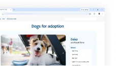 IU de Chrome que muestra la función de recomendaciones de mascotas